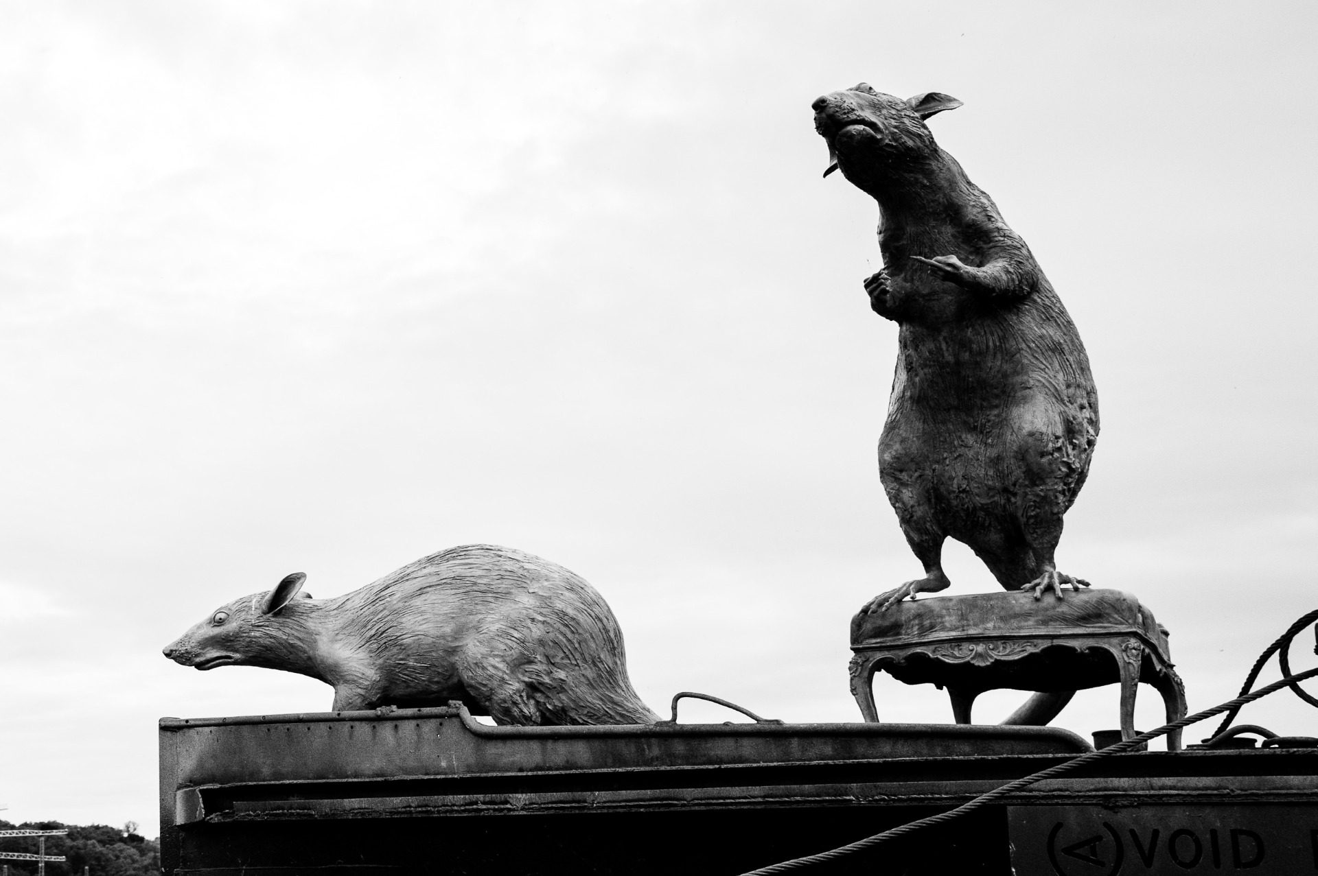 ilustrační foto - i malá myš občas zařve