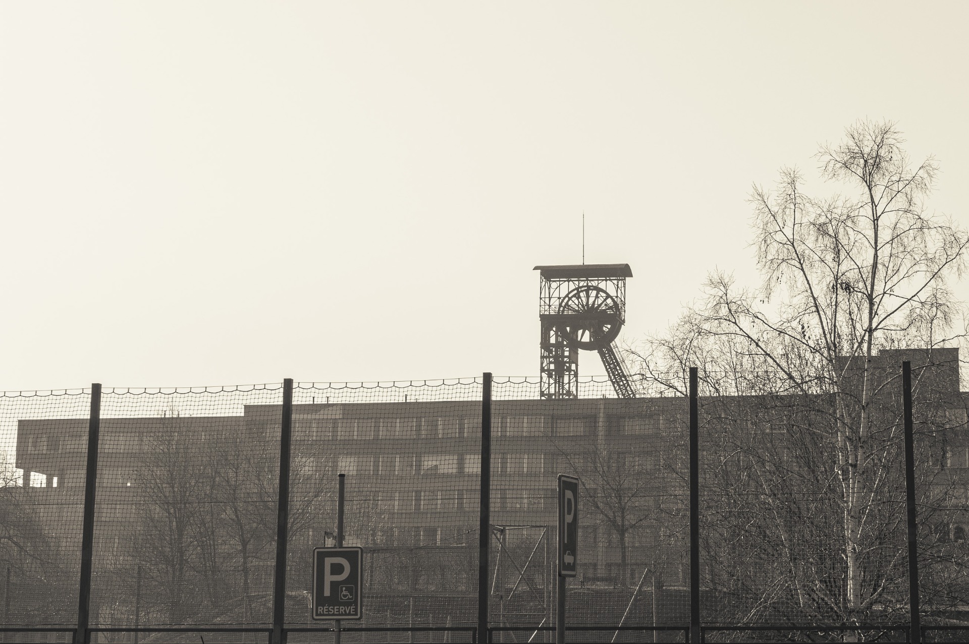 "ostrava" heleny bezecné