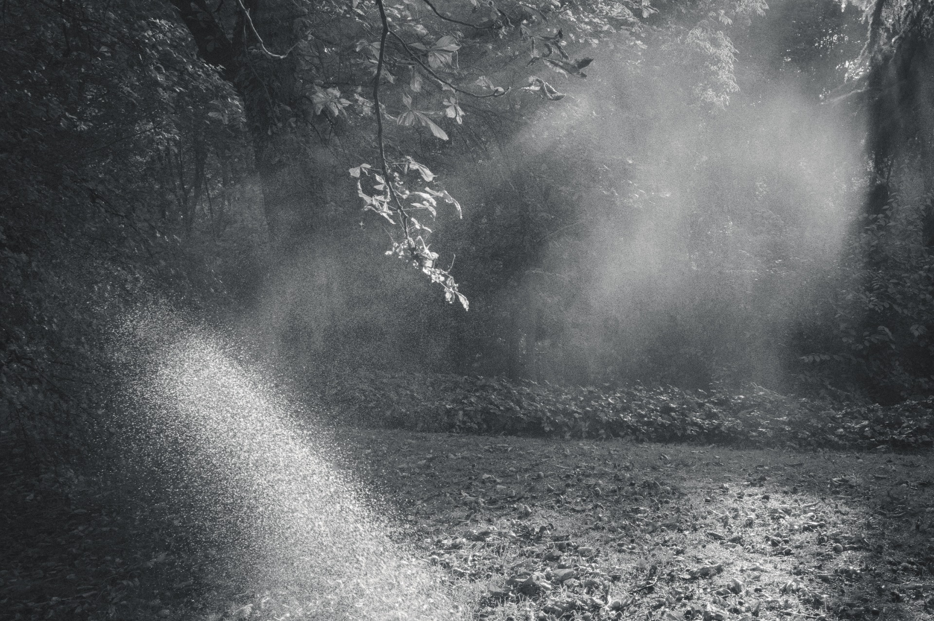 helena bezecná - "v parku"